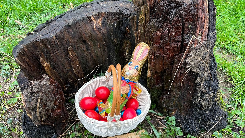 Begeisterte Kinder suchen Ostereier in der Hüppanlage von Wermelskirchen