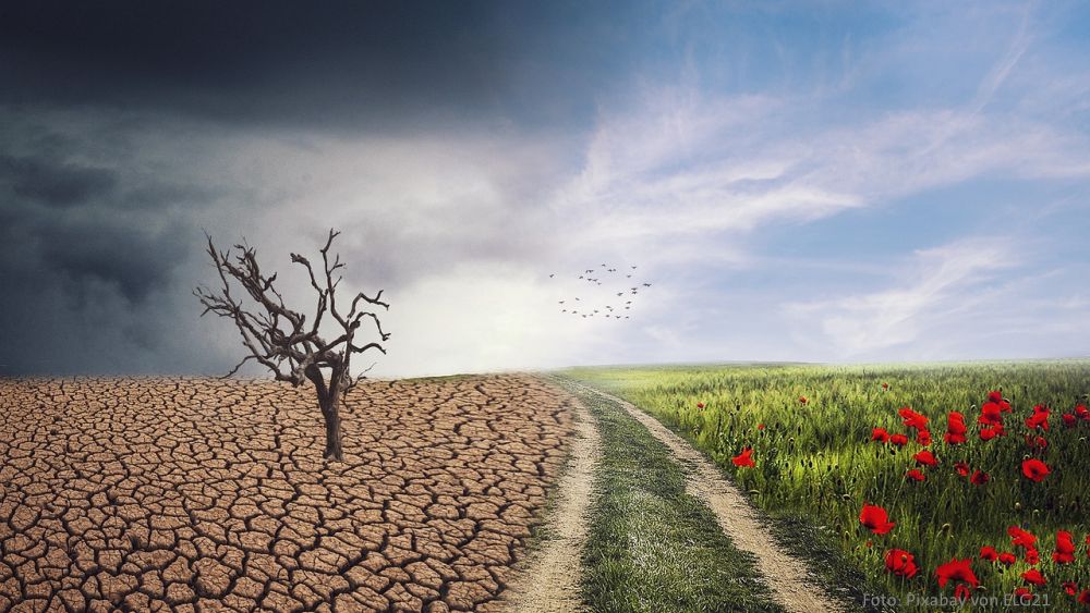Die AfD und der menschengemachte Klimawandel